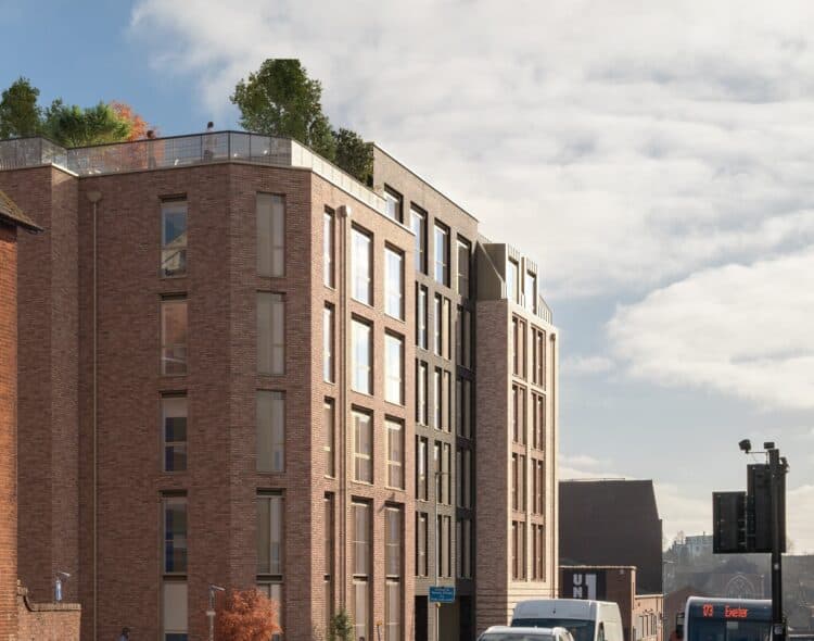 Feed News Placeholder